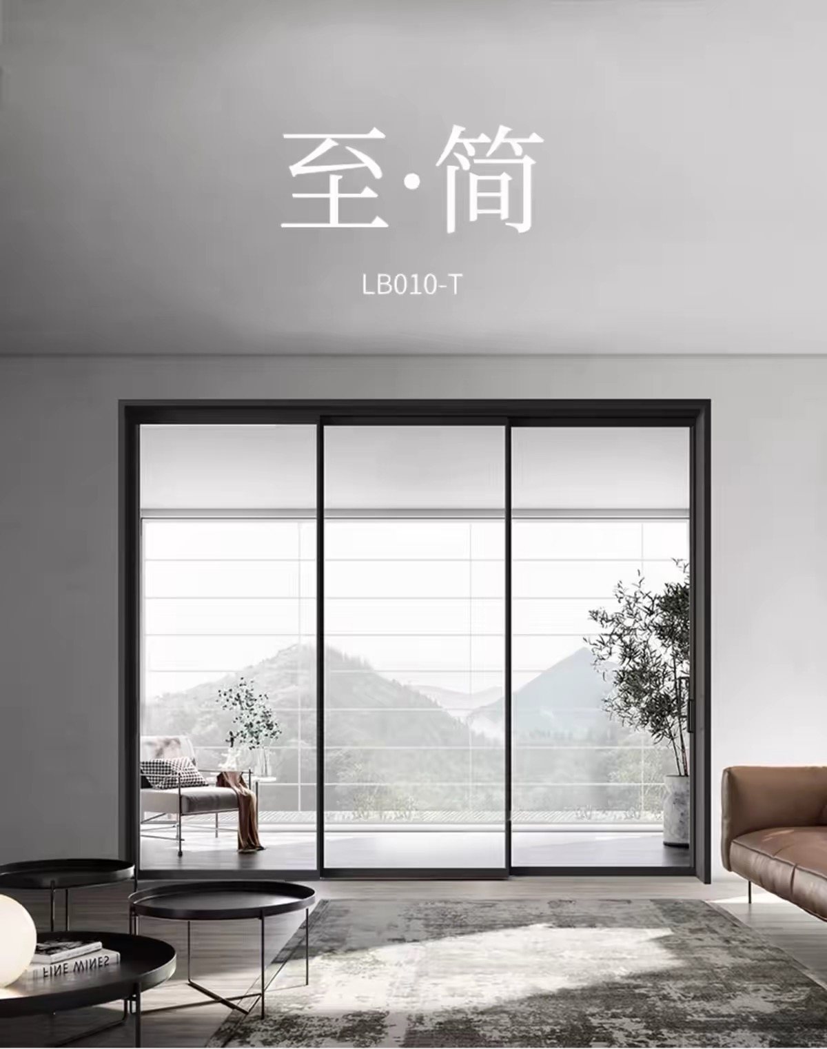 Slim Frame Luxury Door